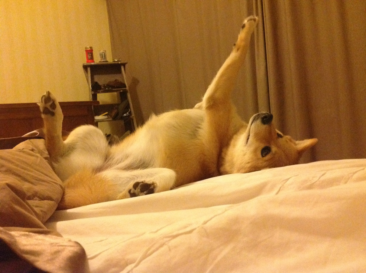 铁血太阳撕裂三晋防线，德罗赞银河倾泻统治级数据