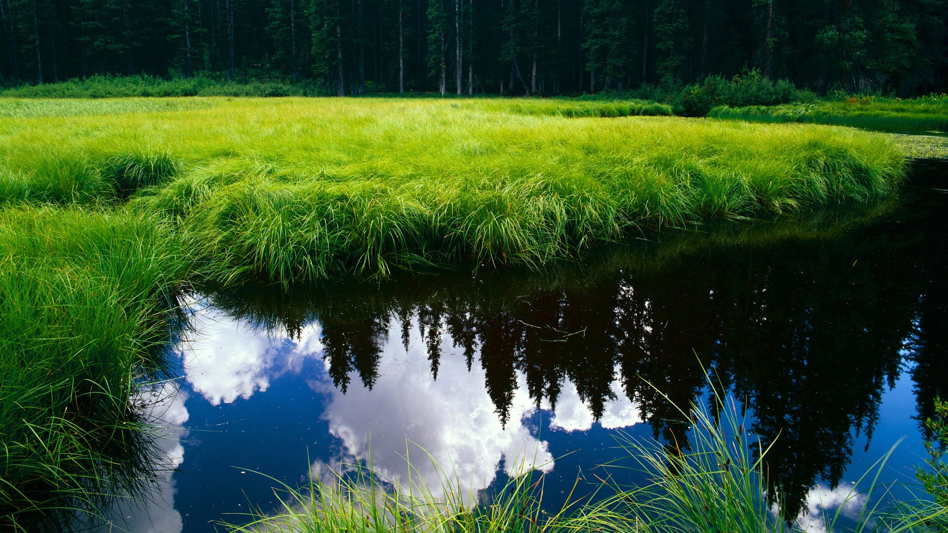 开云sport-跨界风暴，新西兰战术智取雷恩，哈兰德化身F1黑马主宰年度争冠赛