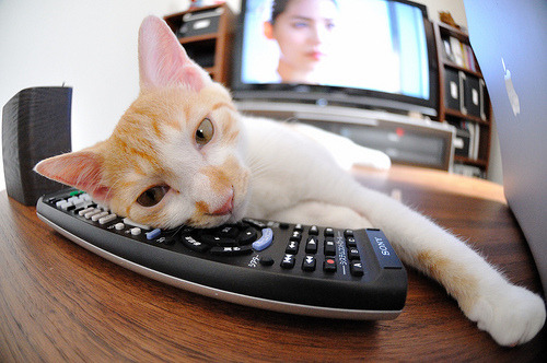 夜战之巅,凡人之躯与钢铁意志的荣光