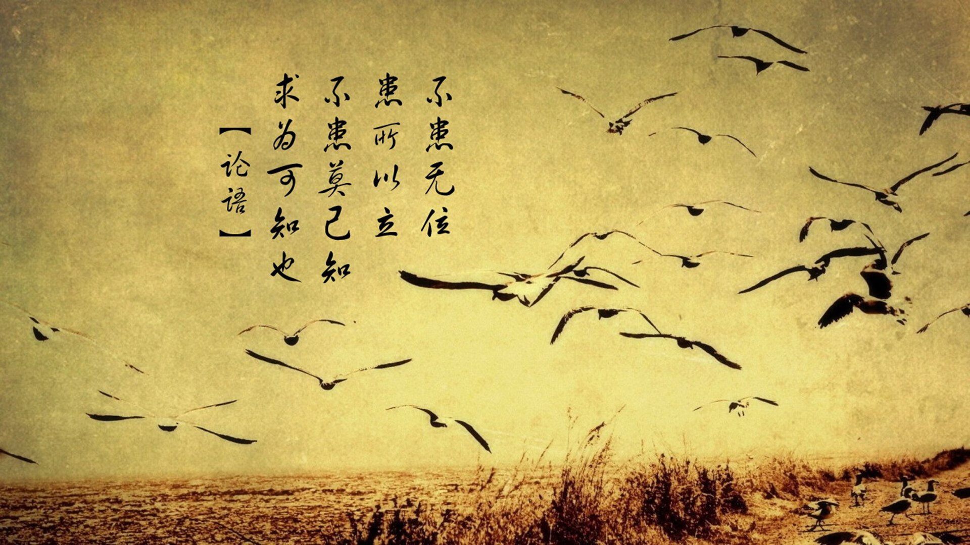 破晓之战，美加墨世界杯焦点战，中国轻取贝蒂斯启示录