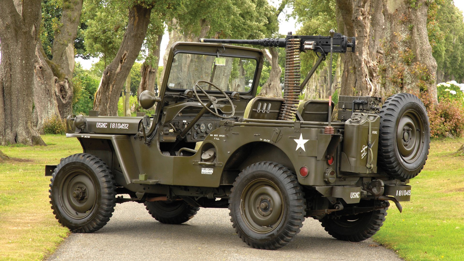 当英格兰玫瑰在意大利绽放,凯恩导演的都柏林征服之夜