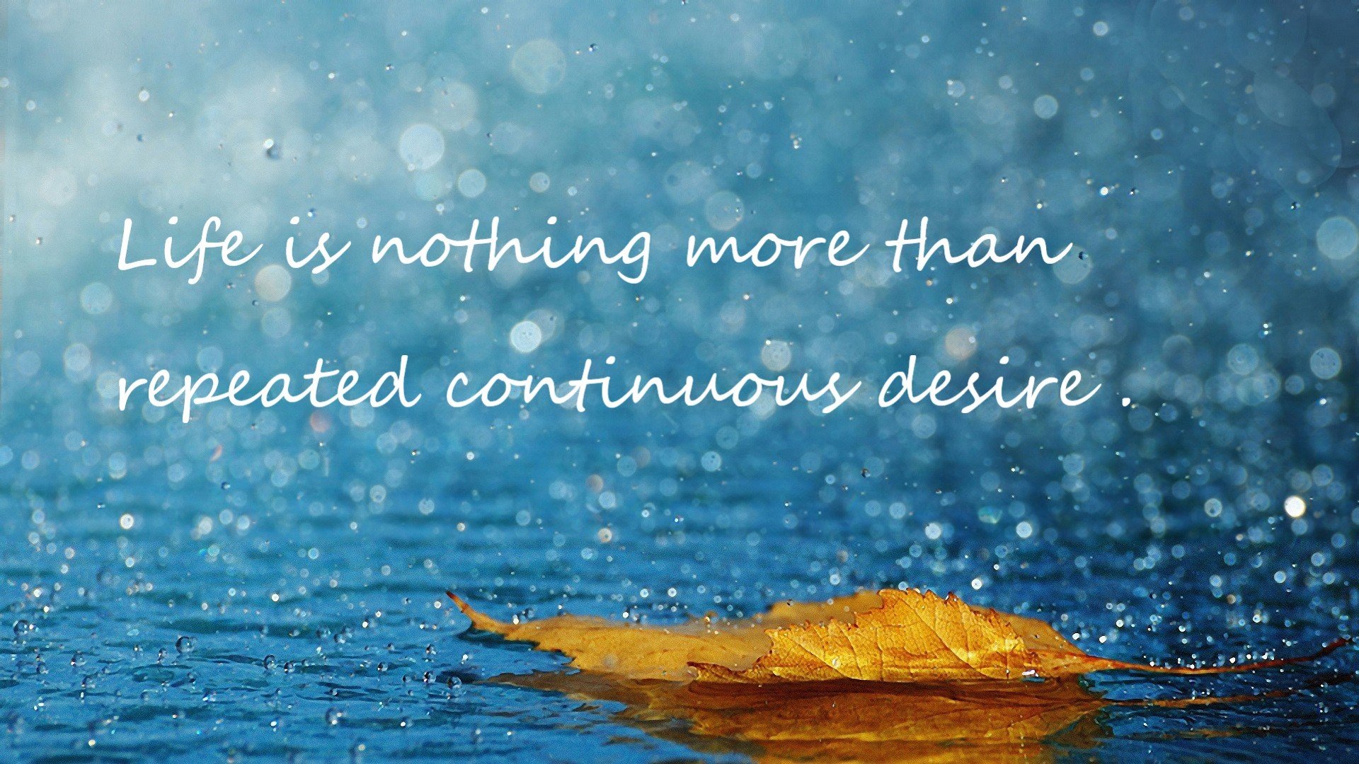 开云体育-冰火对决，雷克雅未克的雪与那不勒斯的光