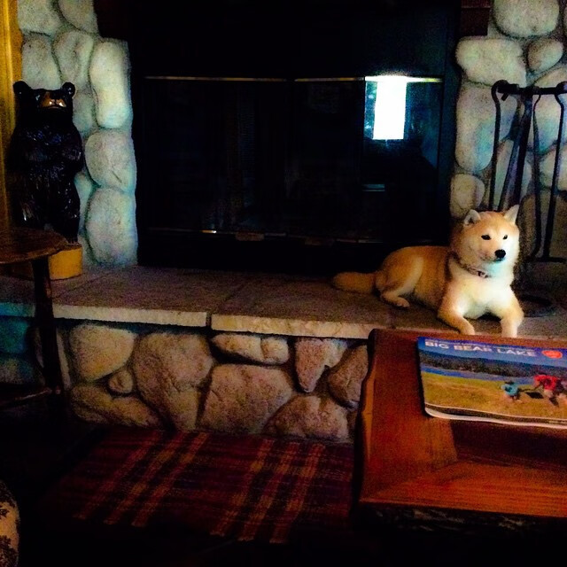 双重赛场，一种霸气，当步行者踏过猛龙，库里统治意甲