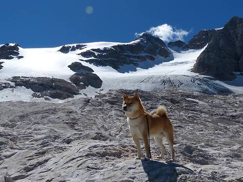 数据王座上的萨卡，与铁血城墙般的威尔士—当个人英雄主义遭遇战术绞杀