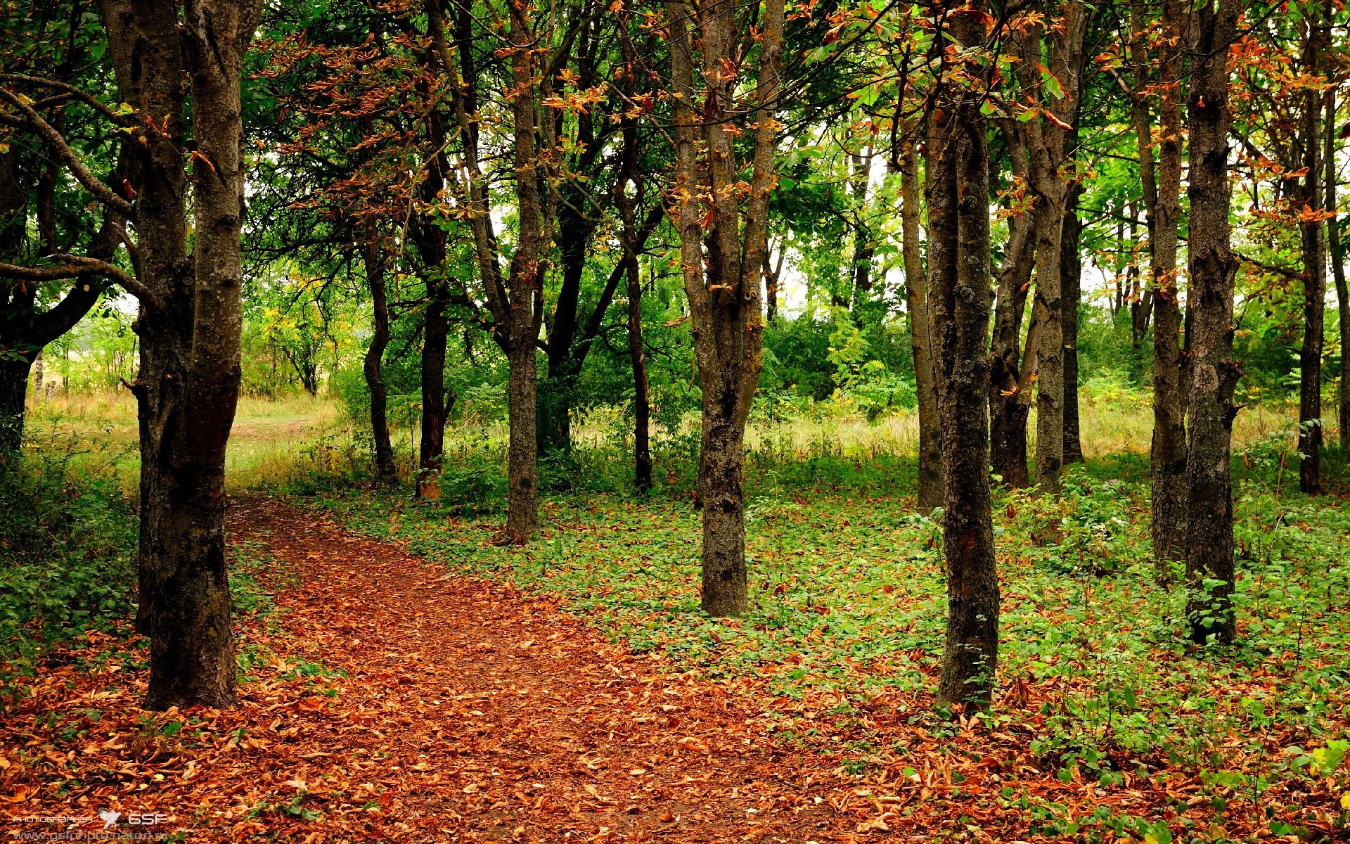 新王登基！加维闪耀全场无悬念 巴西补时绝杀摩洛哥惊险过关