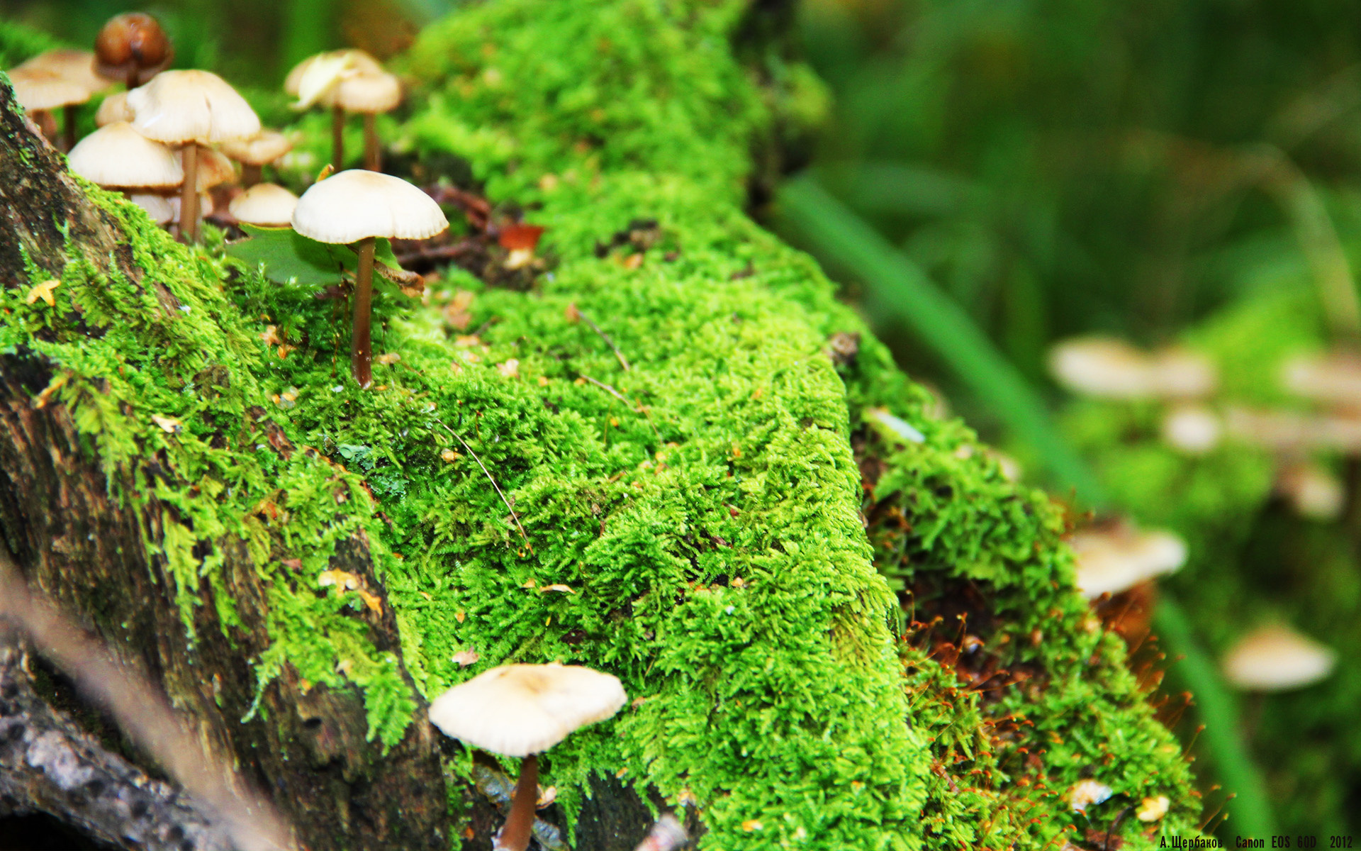 快船铁幕锁纽约，马克西44分焚城，冰与火的对决